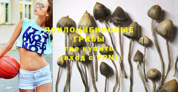 героин Горняк
