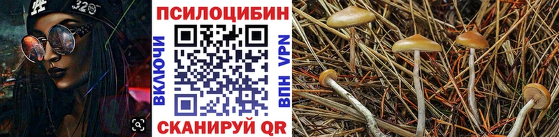 Галлюциногенные грибы GOLDEN TEACHER  Купить закладки  Зима 